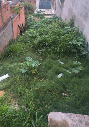 Imagem Terreno à Venda, 125 m² em Serpa - Caieiras