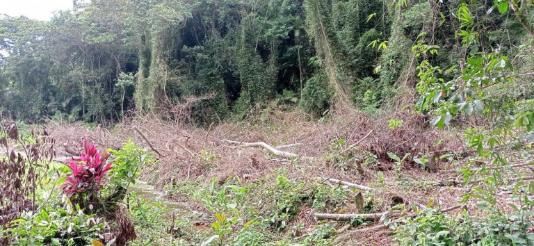 Imagem Terreno em Condomínio à Venda, 484 m² em Massaguaçu - Caraguatatuba Imagem Terreno em Condomínio à Venda, 484 m² em Massaguaçu - Caraguatatuba