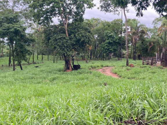 Imagem Chácara à Venda, 23 m² em Zona Rural - Uruaçu Imagem Chácara à Venda, 23 m² em Zona Rural - Uruaçu