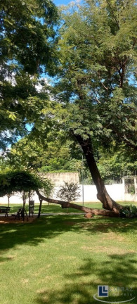 Imagem Imóvel com 2 Quartos à Venda, 43 m² em Lagoinha - Ribeirão Preto Imagem Imóvel com 2 Quartos à Venda, 43 m² em Lagoinha - Ribeirão Preto
