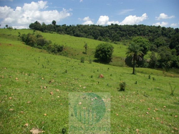 Imagem Imóvel com 4 Quartos à Venda, 1.694.000 m² em Zona Rural - Jacui Imagem Imóvel com 4 Quartos à Venda, 1.694.000 m² em Zona Rural - Jacui