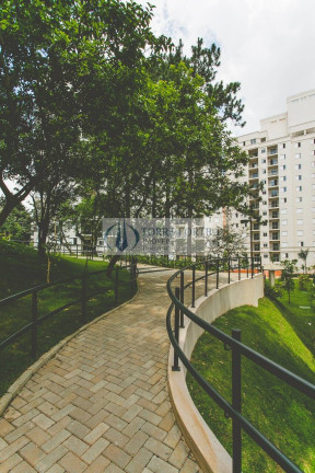 Imagem Apartamento com 3 Quartos à Venda, 68 m² em Vila Ivone - São Paulo Imagem Apartamento com 3 Quartos à Venda, 68 m² em Vila Ivone - São Paulo