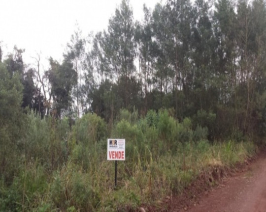 Terreno à Venda, 3 m² em Fazenda Pirajá - Nova Petrópolis