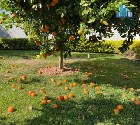 Imagem Casa com 3 Quartos à Venda, 580 m² em Parque Da Fazenda - Itatiba Imagem Casa com 3 Quartos à Venda, 580 m² em Parque Da Fazenda - Itatiba