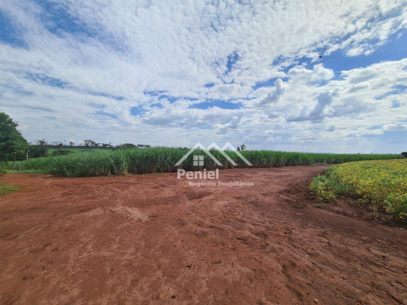 Imagem Fazenda à Venda, 500 m² em Luis Antonio - Luís Antônio Imagem Fazenda à Venda, 500 m² em Luis Antonio - Luís Antônio