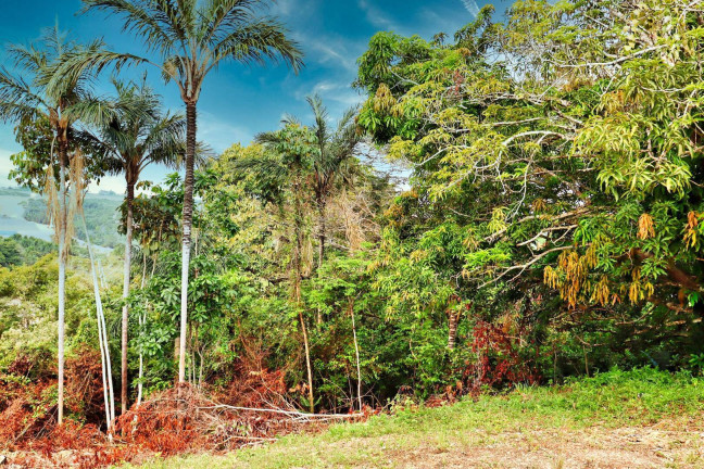 Imagem Terreno à Venda, 48 m² em Flores - Manaus