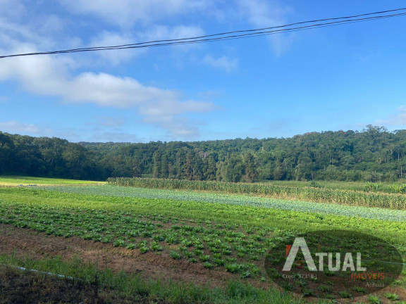 Imagem Terreno à Venda, 194 m² em Centro - Suzano