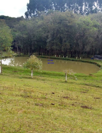 Imagem Imóvel com 2 Quartos à Venda, 21.808 m² em Jardim Itapituba - Contenda Imagem Imóvel com 2 Quartos à Venda, 21.808 m² em Jardim Itapituba - Contenda