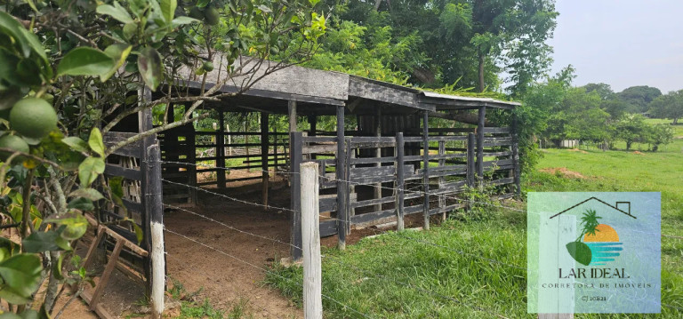 Imagem Chácara com 2 Quartos à Venda, 7.800 m² em Retiro - São Pedro Da Aldeia Imagem Chácara com 2 Quartos à Venda, 7.800 m² em Retiro - São Pedro Da Aldeia