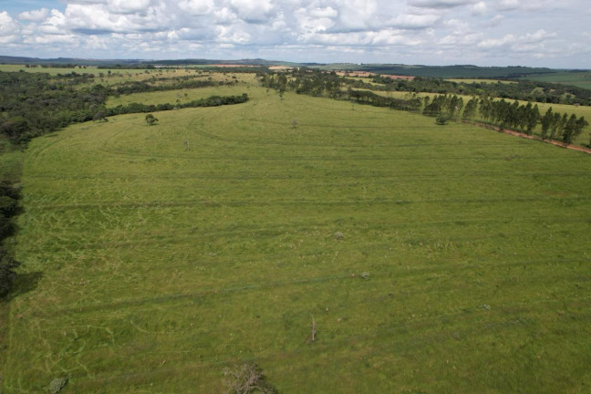 Imagem Fazenda à Venda, 42 m² em Zona Rural - Uberaba Imagem Fazenda à Venda, 42 m² em Zona Rural - Uberaba