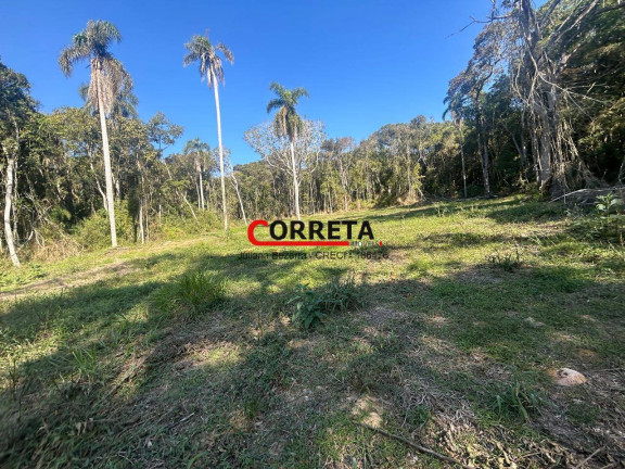 Imagem Terreno à Venda, 48.000 m² em Campo Verde - Ibiúna Imagem Terreno à Venda, 48.000 m² em Campo Verde - Ibiúna