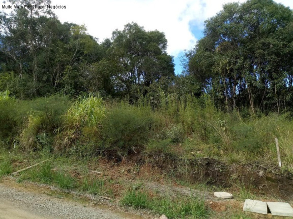 Terreno à Venda, 390 m² em Linha Imperial - Nova Petrópolis