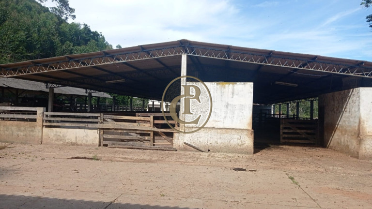 Imagem Fazenda para Alugar, 100 m² em Serrote - Santa Branca Imagem Fazenda para Alugar, 100 m² em Serrote - Santa Branca
