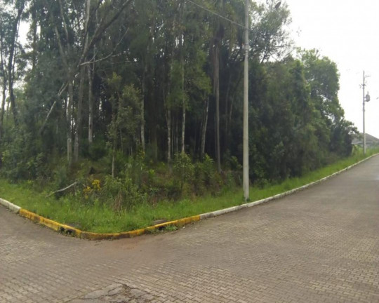 Imagem Imóvel à Venda, 515 m² em Juriti - Nova Petrópolis Imagem Imóvel à Venda, 515 m² em Juriti - Nova Petrópolis