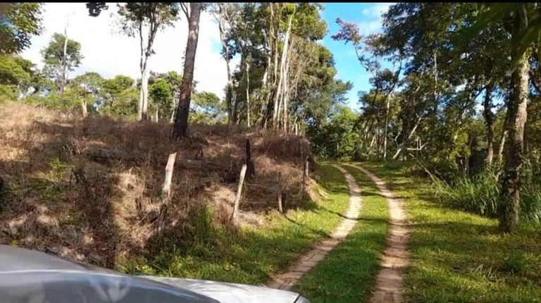 Imagem Chácara com 2 Quartos à Venda, 116 m² em Conselheiro Paulino - Nova Friburgo Imagem Chácara com 2 Quartos à Venda, 116 m² em Conselheiro Paulino - Nova Friburgo