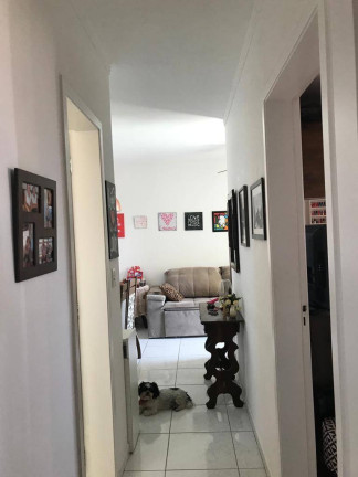 Imagem Apartamento com 2 Quartos à Venda, 60 m² em Vila Haro - Sorocaba Imagem Apartamento com 2 Quartos à Venda, 60 m² em Vila Haro - Sorocaba
