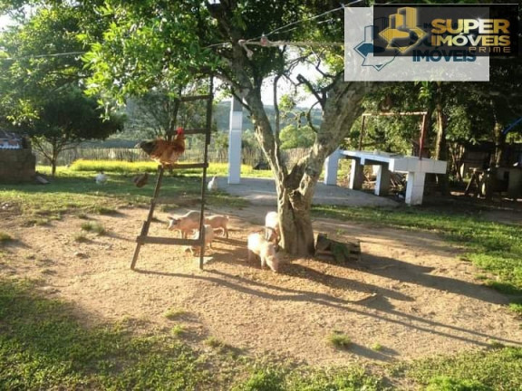 Imagem Imóvel com 6 Quartos à Venda, 125.000 m² em Centro - Morro Redondo