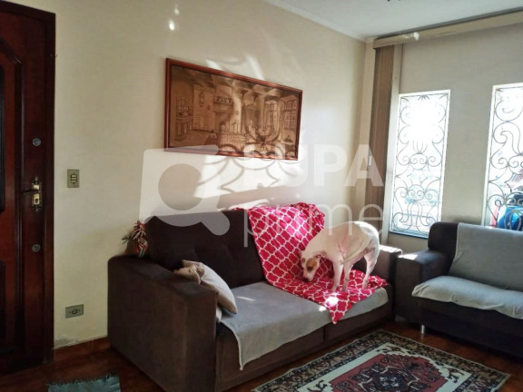 Imagem Casa com 4 Quartos à Venda, 150 m² em Tucuruvi - São Paulo Imagem Casa com 4 Quartos à Venda, 150 m² em Tucuruvi - São Paulo