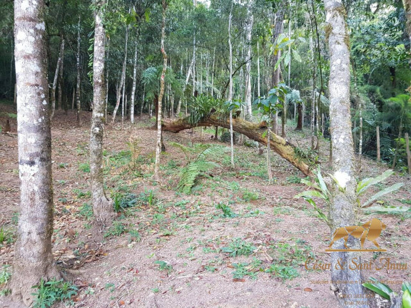 Imagem Casa com 4 Quartos à Venda, 80 m² em Recanto Das Araucárias - Campos Do Jordão Imagem Casa com 4 Quartos à Venda, 80 m² em Recanto Das Araucárias - Campos Do Jordão