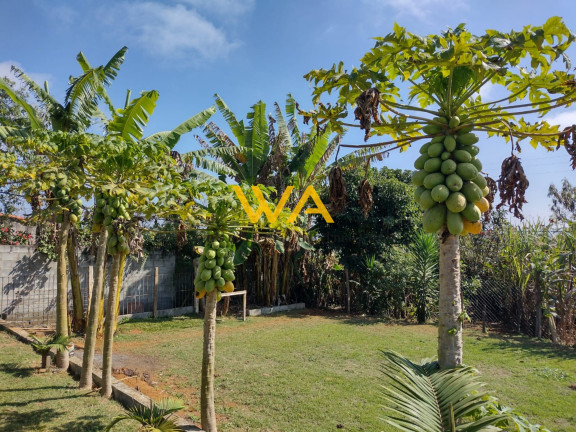 Imagem Imóvel com 3 Quartos à Venda, em Parque Das Varinhas - Mogi Das Cruzes Imagem Imóvel com 3 Quartos à Venda, em Parque Das Varinhas - Mogi Das Cruzes