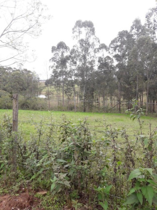 Terreno à Venda, 15.000 m² em Lorenzi - Santa Maria