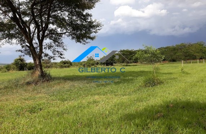 Imagem Imóvel à Venda, 7.685 m² em área Rural De Jacuba - Arealva