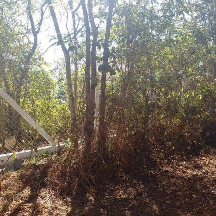 Imagem Chácara à Venda, 3.220 m² em Conjunto Alvorada - Uberlândia Imagem Chácara à Venda, 3.220 m² em Conjunto Alvorada - Uberlândia