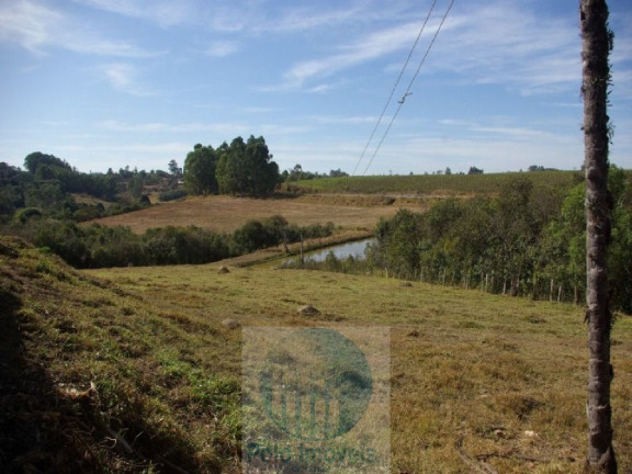 Imagem Imóvel com 2 Quartos à Venda, 665.000 m² em Zona Rural - Jacui Imagem Imóvel com 2 Quartos à Venda, 665.000 m² em Zona Rural - Jacui