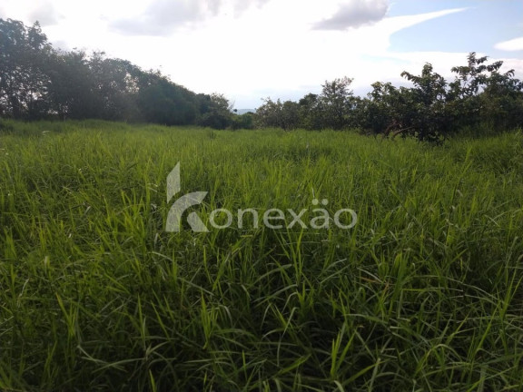 Imagem Chácara com 1 Quarto à Venda, 300 m² em Bairro Marambaia - Caçapava Imagem Chácara com 1 Quarto à Venda, 300 m² em Bairro Marambaia - Caçapava