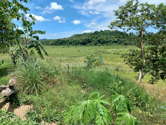 Imagem Imóvel com 3 Quartos à Venda, 4.840.000 m² em Embaú - Silva Jardim Imagem Imóvel com 3 Quartos à Venda, 4.840.000 m² em Embaú - Silva Jardim