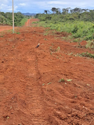 Fazenda à Venda, 1.675 m² em Rural - Cumaru Do Norte