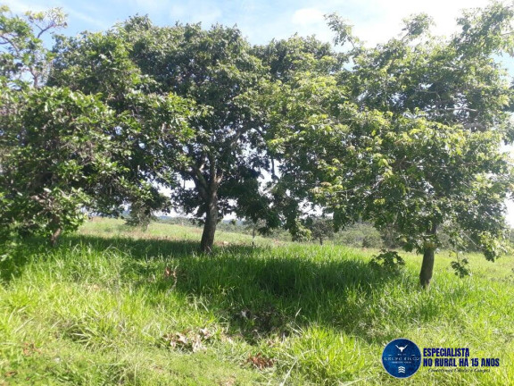 Imagem Chácara à Venda, 3 m² em Setor Central - Itapuranga Imagem Chácara à Venda, 3 m² em Setor Central - Itapuranga