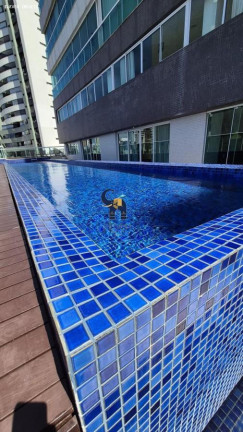 Imagem Apartamento com 2 Quartos à Venda, 103 m² em Horto Florestal - Salvador Imagem Apartamento com 2 Quartos à Venda, 103 m² em Horto Florestal - Salvador