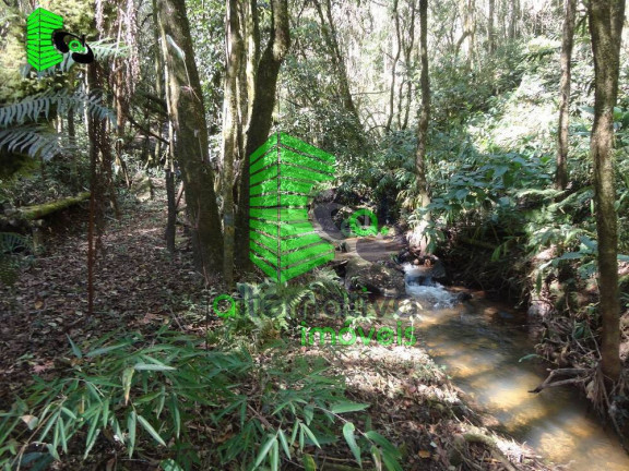 Imagem Fazenda à Venda, 31 m² em Pinhalzinho - Sto Antônio Do Pinhal - Santo Antônio Do Pinhal