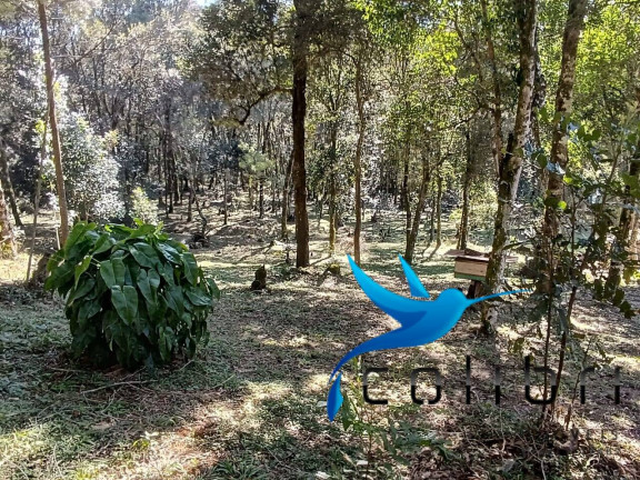 Imagem Chácara com 2 Quartos à Venda, 6.000 m² em Palmital - Agudos Do Sul Imagem Chácara com 2 Quartos à Venda, 6.000 m² em Palmital - Agudos Do Sul