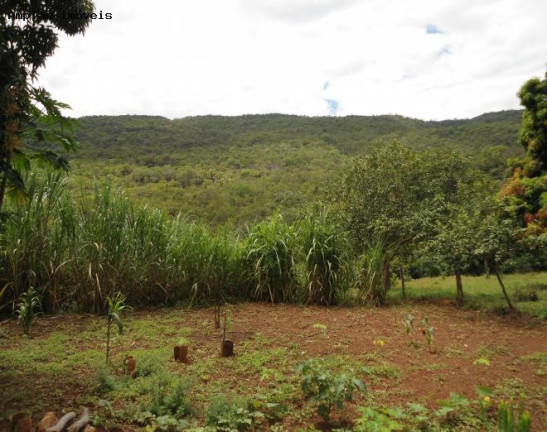 Imagem Fazenda à Venda, 164 m² em Monjolos área Rural - Monjolos