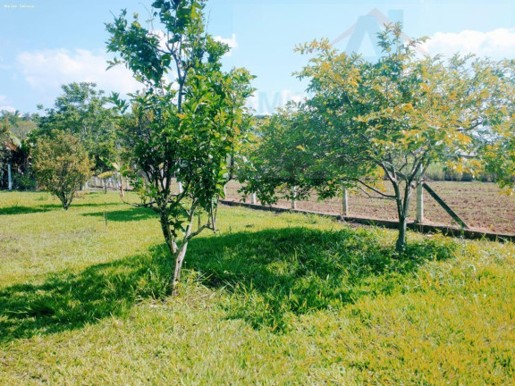 Imagem Chácara com 2 Quartos à Venda, 4.326 m² em Azurita