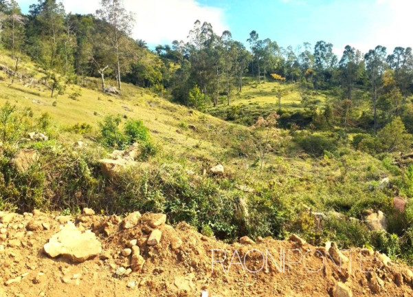 Imagem Fazenda à Venda, 70.000 m² em Sodrelândia - Trajano De Morais Imagem Fazenda à Venda, 70.000 m² em Sodrelândia - Trajano De Morais