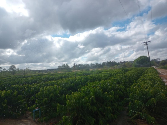 Imagem Fazenda à Venda, 2.323.200 m² em Fazenda