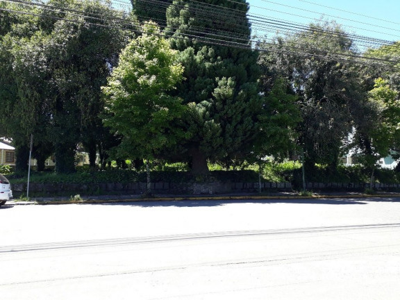 Imagem Terreno à Venda, 2.700 m² em Centro - Canela Imagem Terreno à Venda, 2.700 m² em Centro - Canela