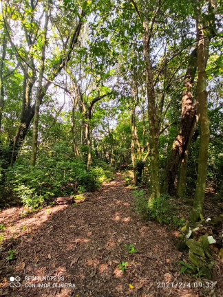 Imagem Chácara com 2 Quartos à Venda, 11 m² em Centro - Salto De Pirapora Imagem Chácara com 2 Quartos à Venda, 11 m² em Centro - Salto De Pirapora