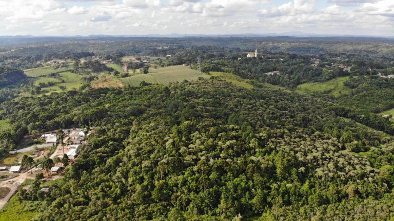 Imagem Terreno à Venda, 19.600 m² em Colônia Faria - Colombo