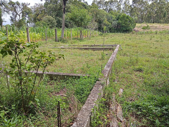 Imagem Terreno à Venda, 627 m² em águas Claras - Viamão