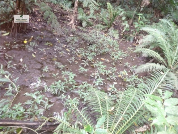 Imagem Terreno à Venda, 3.800 m² em Alto Da Serra - São Roque Imagem Terreno à Venda, 3.800 m² em Alto Da Serra - São Roque