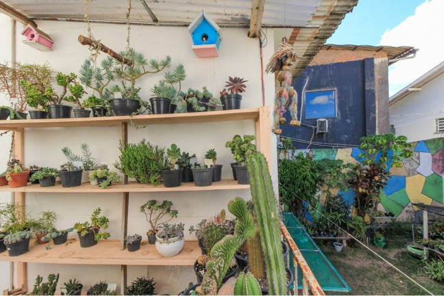 Imagem Casa com 5 Quartos à Venda, 254 m² em Três Figueiras - Porto Alegre Imagem Casa com 5 Quartos à Venda, 254 m² em Três Figueiras - Porto Alegre
