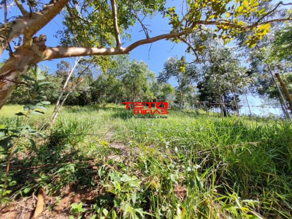 Imagem Imóvel à Venda, em Zona Rural - Dom Viçoso Imagem Imóvel à Venda, em Zona Rural - Dom Viçoso