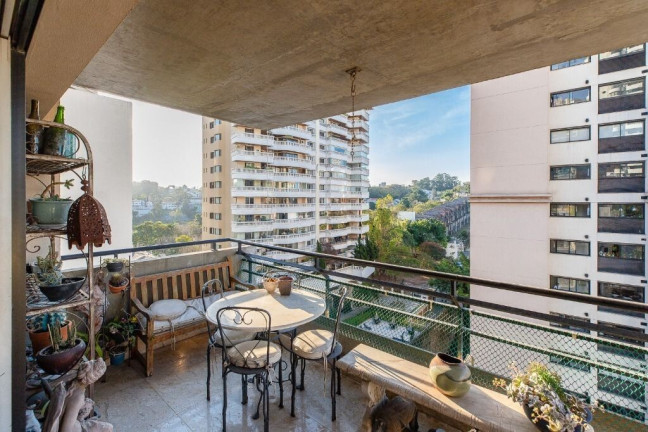 Imagem Apartamento com 4 Quartos à Venda, 236 m² em Real Parque - São Paulo Imagem Apartamento com 4 Quartos à Venda, 236 m² em Real Parque - São Paulo