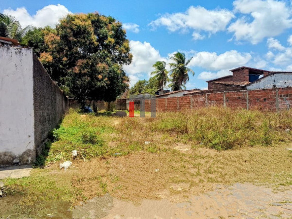 Imagem Terreno à Venda, 530 m² em São José - Macaíba