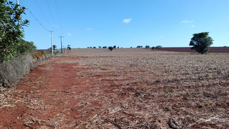 Imagem Chácara à Venda, 29 m² em Rural - Avaré