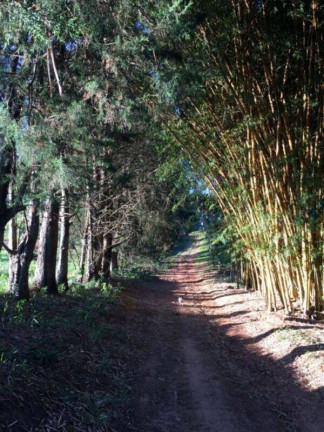 Imagem Fazenda à Venda, 940 m² em Dos Silva - Morungaba Imagem Fazenda à Venda, 940 m² em Dos Silva - Morungaba